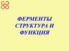 Ферменты. Структура и функция