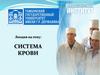 Система крови