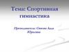 Спортивная гимнастика