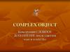 Complex Object