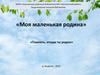 Моя маленькая Родина