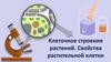 Клеточное строение растений. Свойства растительной клетки