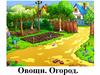 Овощи. Огород