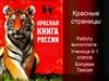 Красные страницы