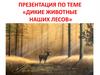 Лексическая тема Дикие животные