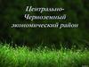 Центрально-Черноземный экономический район