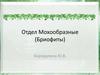Отдел Мохообразные (Бриофиты)