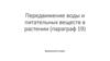 Передвижение воды и питательных веществ в растении