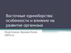 Восточные единоборства: влияние на развитие организма
