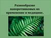 Разнообразие папоротниковых их применение в медицине