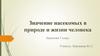 Значение насекомых в природе и жизни человека
