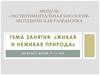 Живая и неживая природа