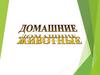 Домашние животные