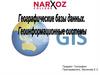 Географические базы данных. Географическая информационная система (ГИС)