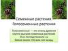 Семенные растения. Голосеменные растения