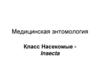 Медицинская энтомология. Класс Насекомые Insecta