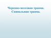 Черепно-мозговая травма. Спинальная травма