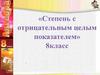 Степень с отрицательным целым показателем