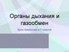 Органы дыхания и газообмен