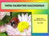 Типы развития насекомых