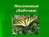 Насекомые (бабочки)