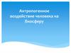 Антропогенное воздействие человека на биосферу