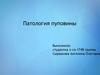 Патология пуповины