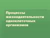 Процессы жизнедеятельности одноклеточных организмов