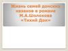 Жизнь семей донских казаков в романе М.А. Шолохова «Тихий Дон»