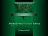 Разработка бизнес-плана. Management