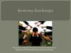 Болезнь Блейлера