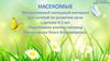 Насекомые. Интерактивный наглядный материал для занятий по развитию речи с детьми 4-5 лет