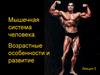Мышечная система человека. Возрастные особенности и развитие. Лекция 5