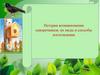 История возникновения скворечников, их виды и способы изготовления