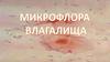 Микрофлора влагалища. Нормальная микрофлора влагалища