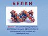 Белки