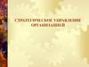 Стратегическое управление организацией