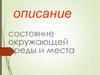 Описание состояние окружающей среды и места