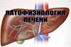 Патофизиология печени