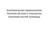 Анатомическая терминология. Понятие об осях и плоскостях. Анатомия костей туловища