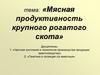 Мясная продуктивность крупного рогатого скота