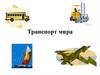 Транспорт мира