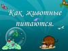 Как животные питаются