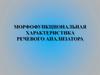 Морфофункциональная характеристика речевого анализатора