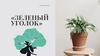 Зеленый уголок. Ландшафтный дизайн