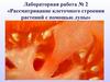 Рассматривание клеточного строения растений с помощью лупы. Лабораторная работа