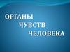 Органы чувств человека
