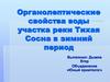 Органолептические свойства воды участка реки Тихая Сосна в зимний период