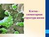 Строение клетки. Типы клеток