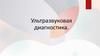 Ультразвуковая диагностика